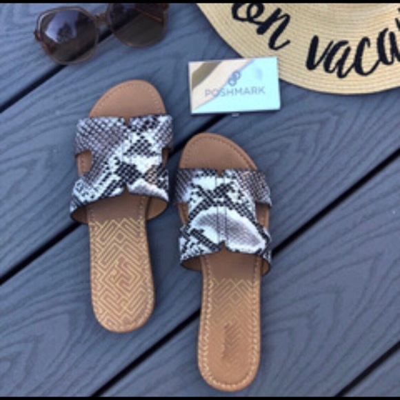 NAGINI Snake Print Flats! - Picture 5 of 5